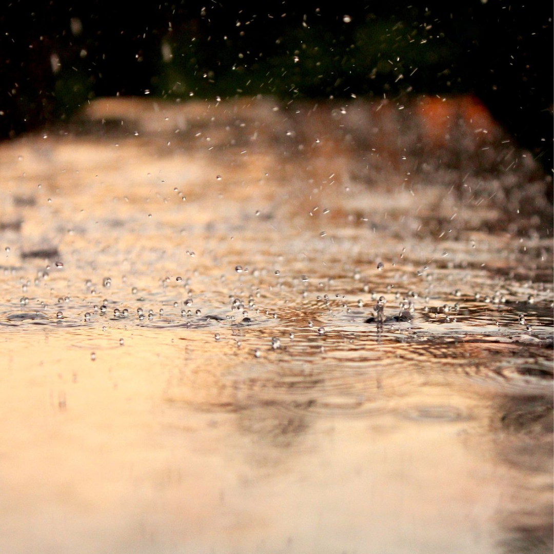 Summer Rain