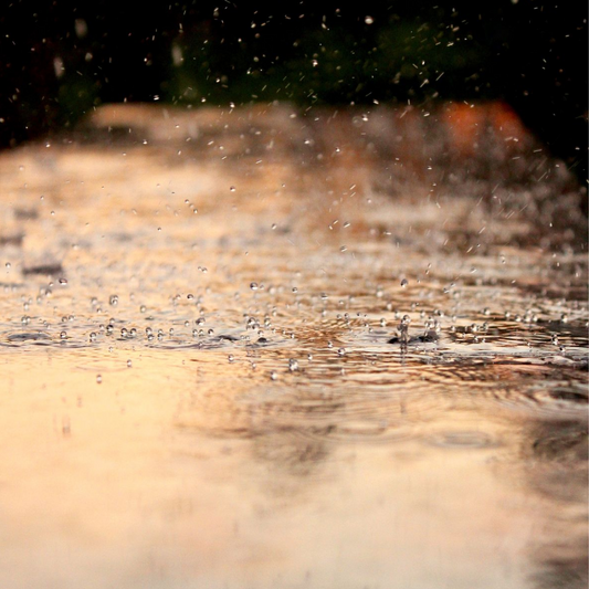 Summer Rain