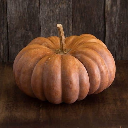 Hello Pumpkin